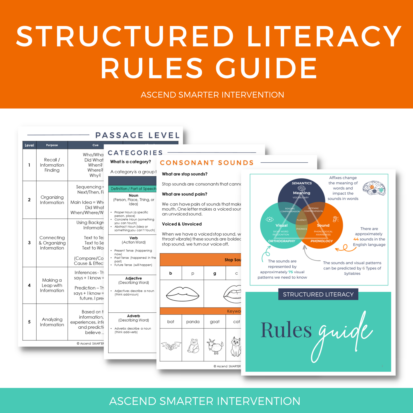 Get the Digital Comprehensive Literacy Rules Guide! Perfect for educators, this guide simplifies literacy rules for effective instruction. Essential for student success!