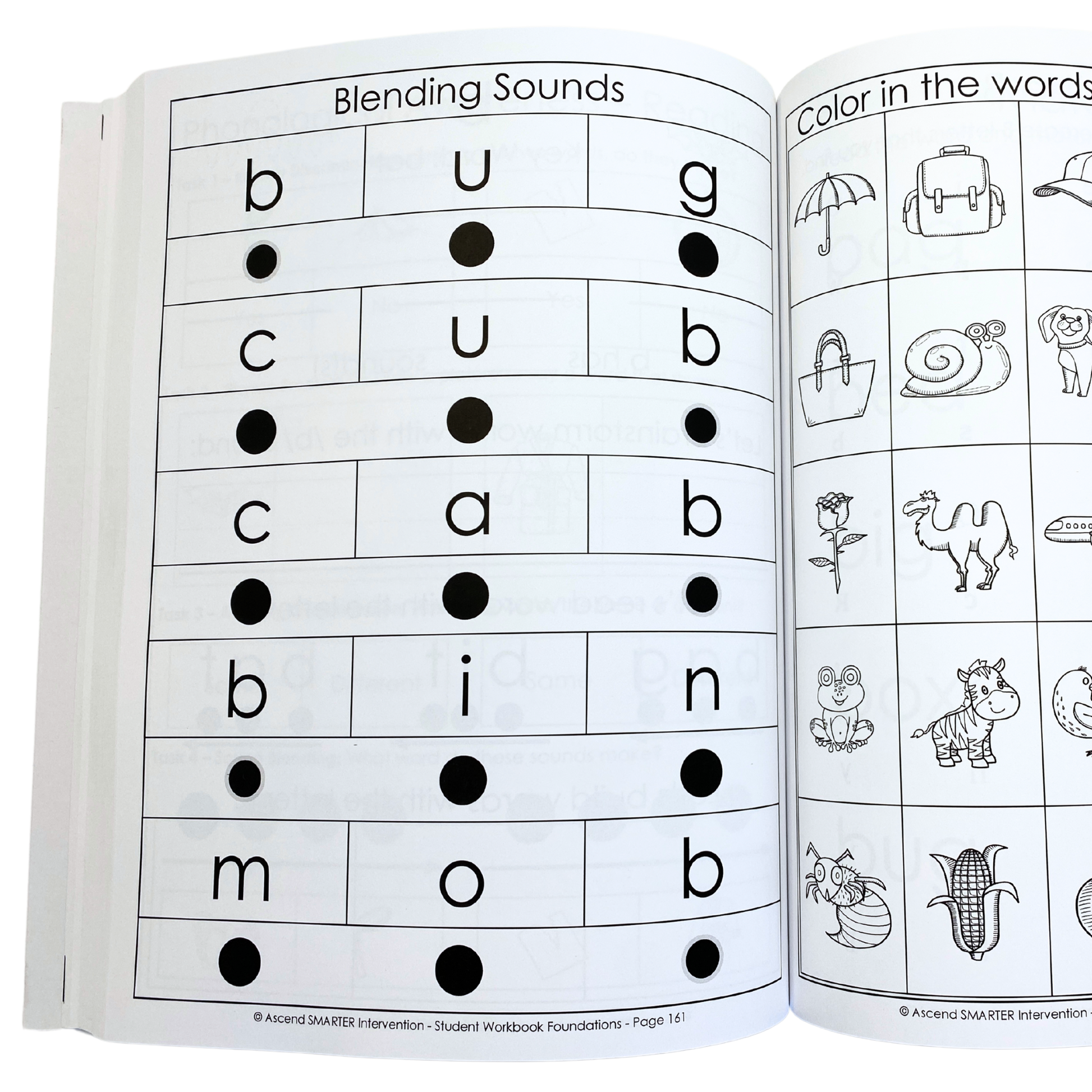 Foundations Student Workbook
