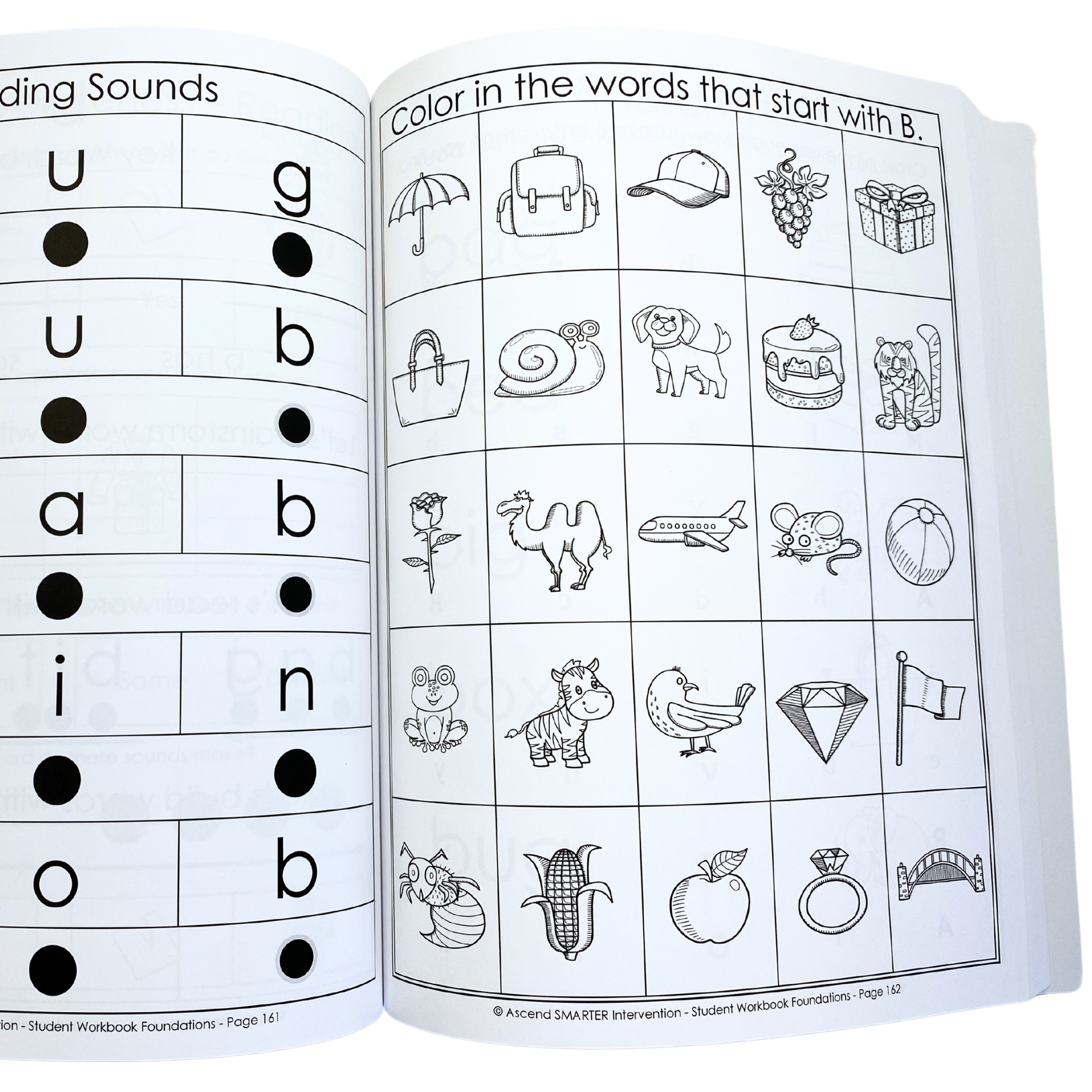 Foundations Student Workbook