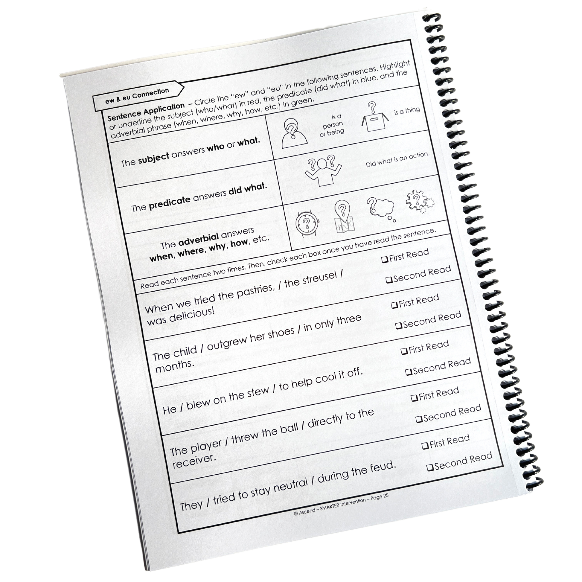 Level 5 Lesson Connections Workbook