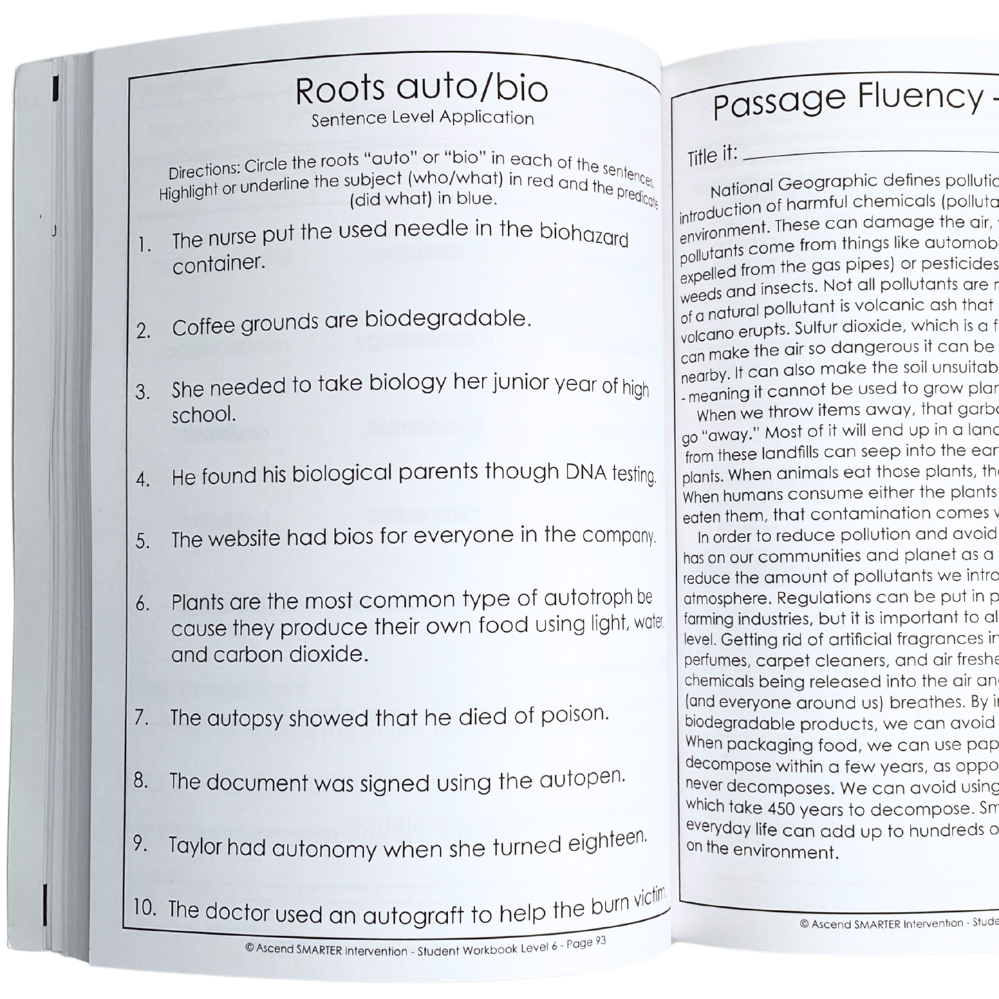 Level 6 Student Workbook