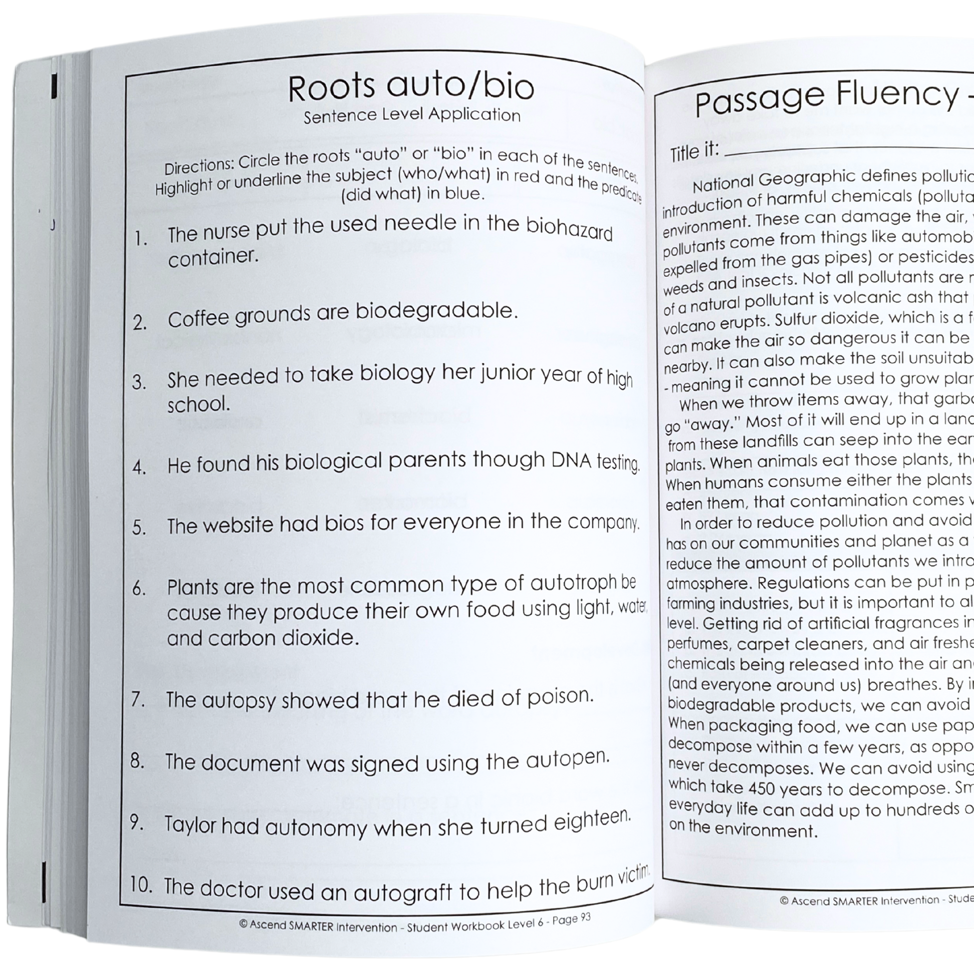 Level 6 Student Workbook